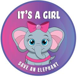Its A Girl Shirt Pin