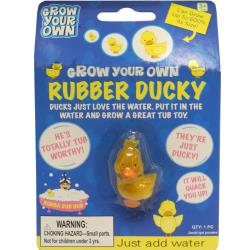Easter Fun Grow A Rubber Ducky Toy (Single)