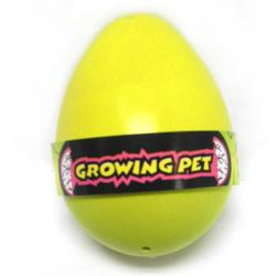 Easter Fun Grow A Chick Asst (Single)