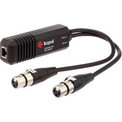 Kopul 2-Channel XLR Analog Input Adapter for Dante Network – 2 Balanced Audio Inputs, PoE, 24-Bit96 kHz, Plug-and-Play, 2 XLR Female and RJ45 Connectors, Rugged ABS Construction, Ideal for Audio Systems