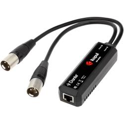 Kopul 2-Channel XLR Analog Output Adapter for Dante Network - 2 Balanced Audio Output, PoE, 24-Bit 96 kHz, Plug-and-Play, 2 x XLR-Male and RJ45 Connectors, Rugged ABS Construction, Ideal for Audio Systems
