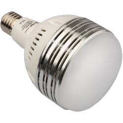 Raya 60W LED Daylight Studio Bulb, E26 Base, 5400K, 4200 Lumens, CRI 84, 250W Tungsten Equivalent, 100-250 VAC, Fan Cooled, Frosted, 30,000-Hour Life for Photo Video Lighting