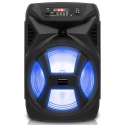 8 Inch Portable 500 Watts Bluetooth Speaker with Woofer and Tweeter, Festival PA LED Speaker with BluetoothUSB Card Inputs, True Wireless Stereo, 30 Feet Bluetooth Range