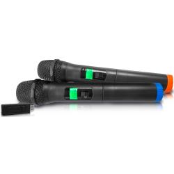 Professional Dual UHF Wireless Handheld Microphone With USB Powered Receiver, for Computer, Karaoke, Conference, DJ, Vocal Recording, Singing, On Stage Performance, Party Events